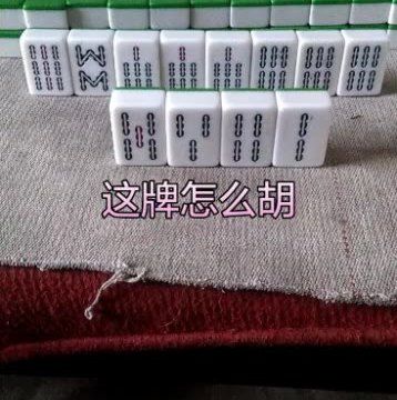 澳门赤兔精准马料免费资料大全,绝对策略计划研究_社交版40.12.0