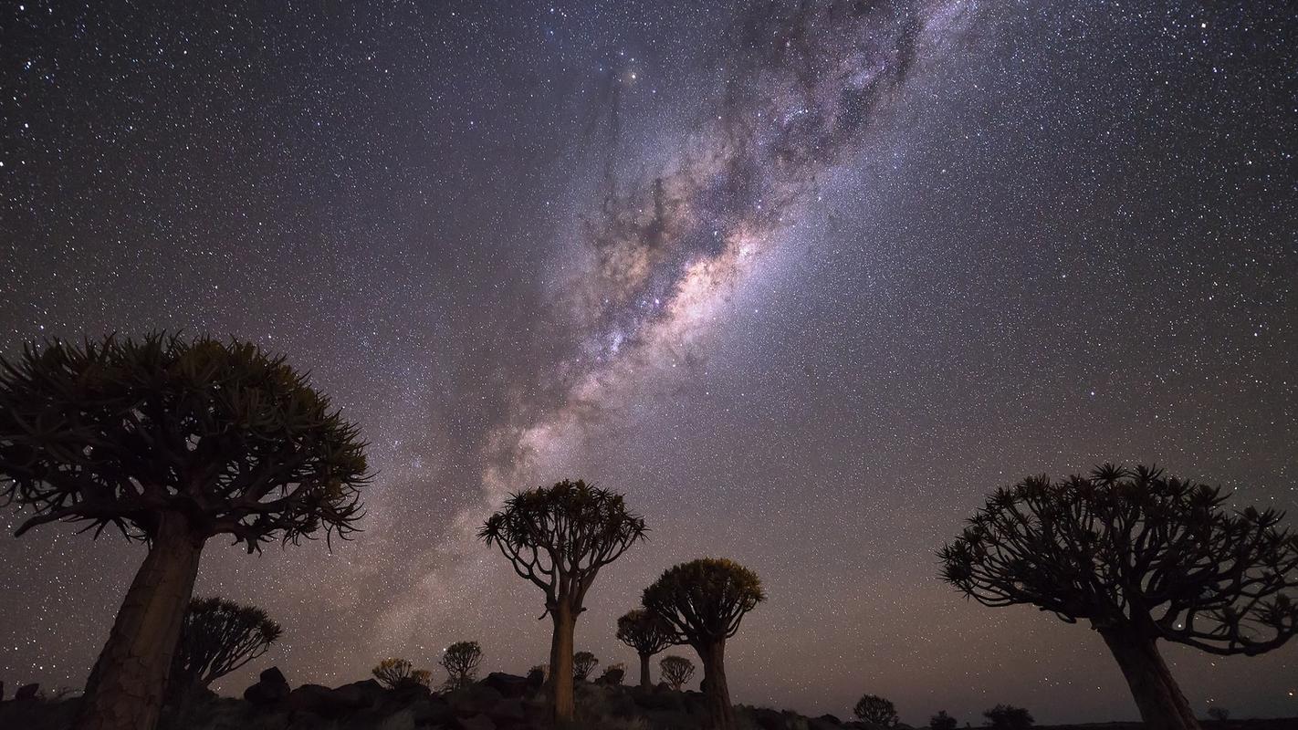 星空影院在线观看免费版高清