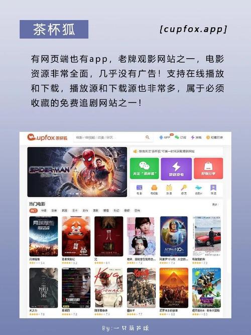 免费看电视电影的网站在线观看,设计策略快速解答_VR型43.237